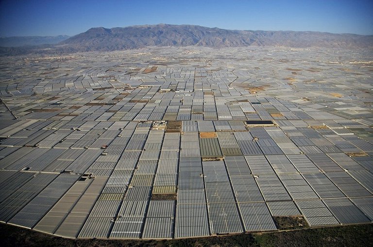 greenhouses-almeria[1].jpg